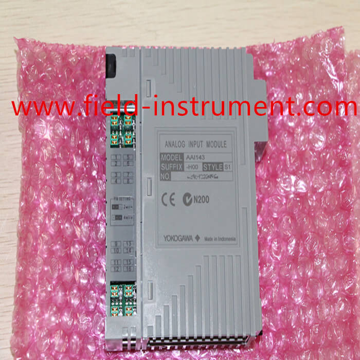 YOKOGAWA AAI143 Analog input Module